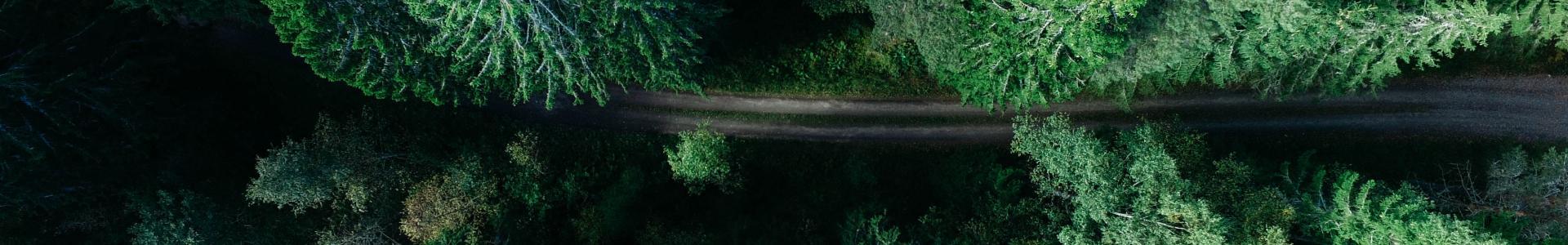 Cabecera Características