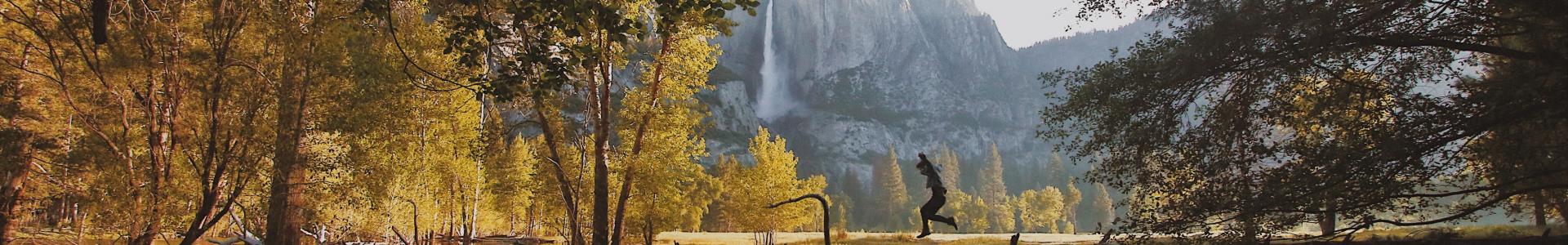 Cabecera Galería de fotos